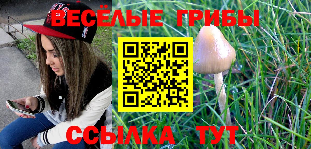 Первоуральск  Галлюциногенные грибы ЛСД  Вход с VPN 